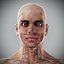 Human Male  Female Complete Anatomy