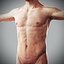 Human Male  Female Complete Anatomy