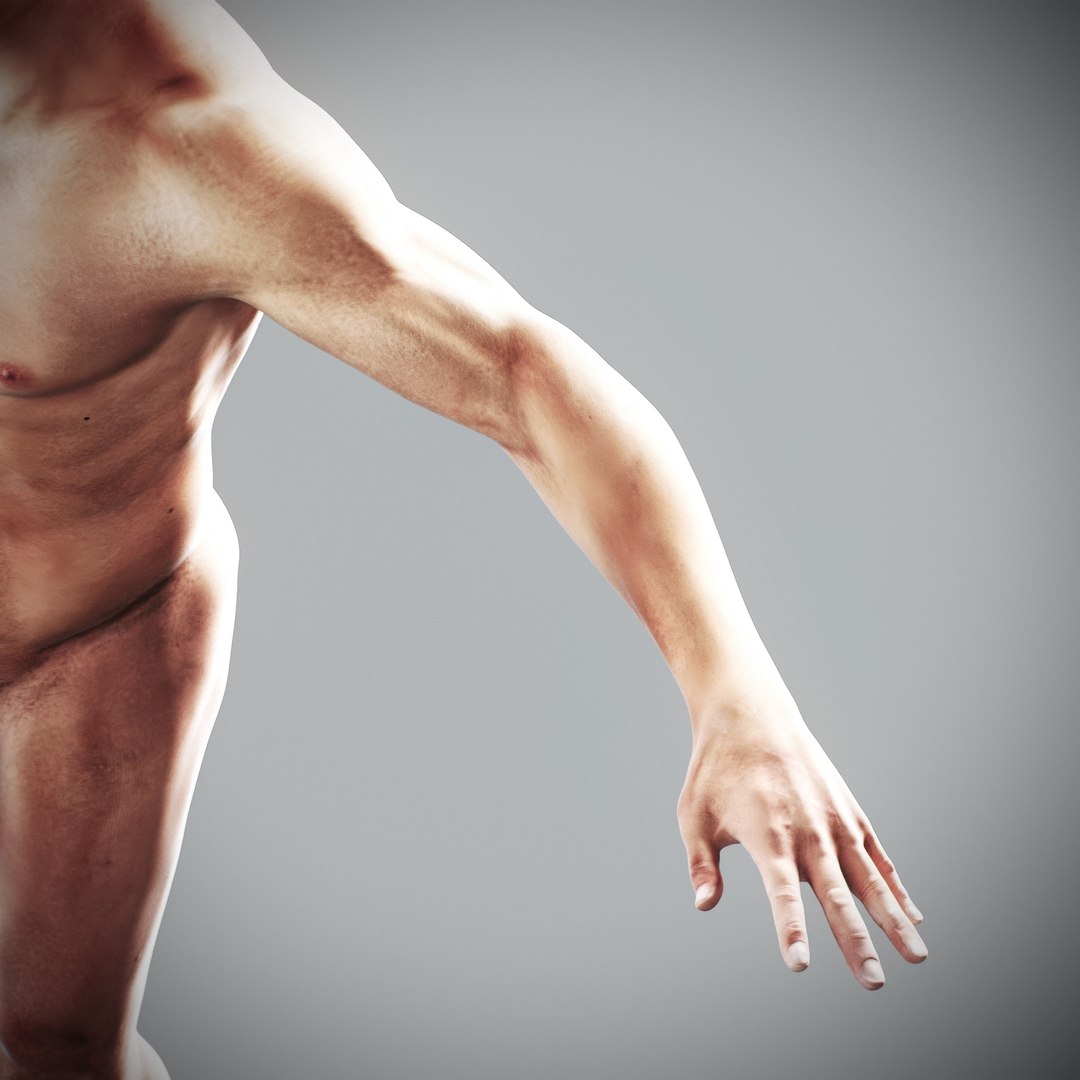3d https://p.turbosquid.com/ts-thumb/ix/DEmZHd/Sh/humanmaleandfemalecompleteanatomy89/jpg/1748534790/1920x1080/fit_q87/529ce940b484675d77889188447218b462a6cd21/humanmaleandfemalecompleteanatomy89.jpg