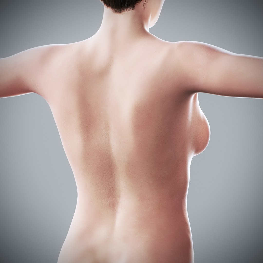 3d https://p.turbosquid.com/ts-thumb/ix/DEmZHd/To/humanmaleandfemalecompleteanatomy64/jpg/1748534778/1920x1080/fit_q87/d9460ca3513963633d86aaf59df9c3d709d10aaa/humanmaleandfemalecompleteanatomy64.jpg