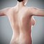 Human Male  Female Complete Anatomy