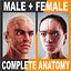 Human Male  Female Complete Anatomy