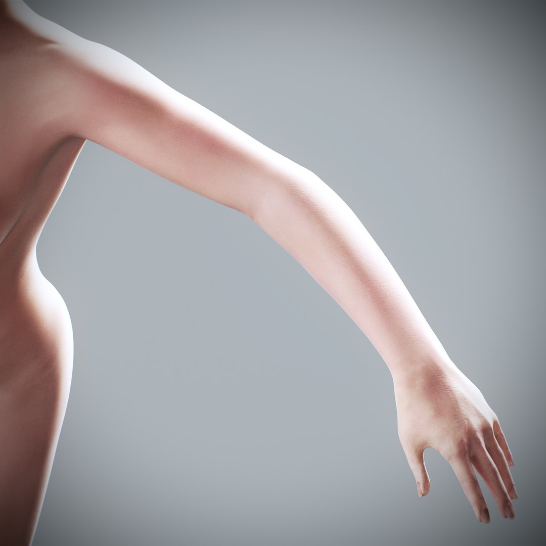 3d https://p.turbosquid.com/ts-thumb/ix/DEmZHd/Uo/humanmaleandfemalecompleteanatomy91/jpg/1748534792/1920x1080/fit_q87/2943056fc24020e75c377a4302a95c0f6f0968fa/humanmaleandfemalecompleteanatomy91.jpg