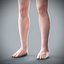 Human Male  Female Complete Anatomy