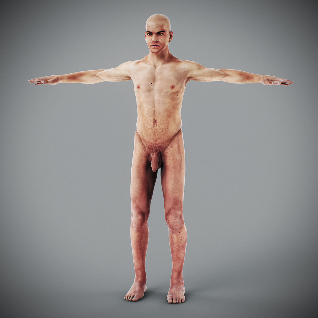 3d https://p.turbosquid.com/ts-thumb/ix/DEmZHd/pp/maleanatomy/jpg/1748534523/1920x1080/turn_fit_q99/24b049e44232b42572a4be0e7bd27c8cb39d7afb/maleanatomy-1.jpg