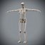 Human Male  Female Complete Anatomy