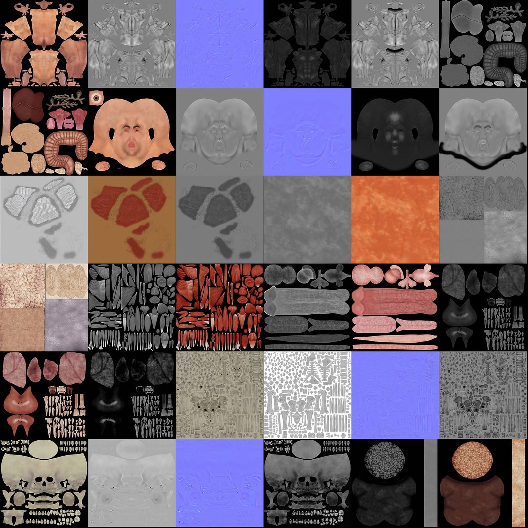 3d https://p.turbosquid.com/ts-thumb/ix/DEmZHd/zG/humanmaleandfemalecompleteanatomy23/jpg/1748534757/1920x1080/fit_q87/354091e58f7d70e214e9d9e5342154c98872b4da/humanmaleandfemalecompleteanatomy23.jpg