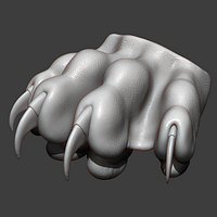 Cat Paw Highpoly Sculpt