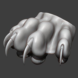 Cat Paw Highpoly Sculpt