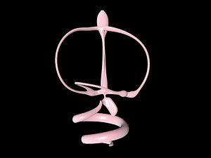 inner ear
