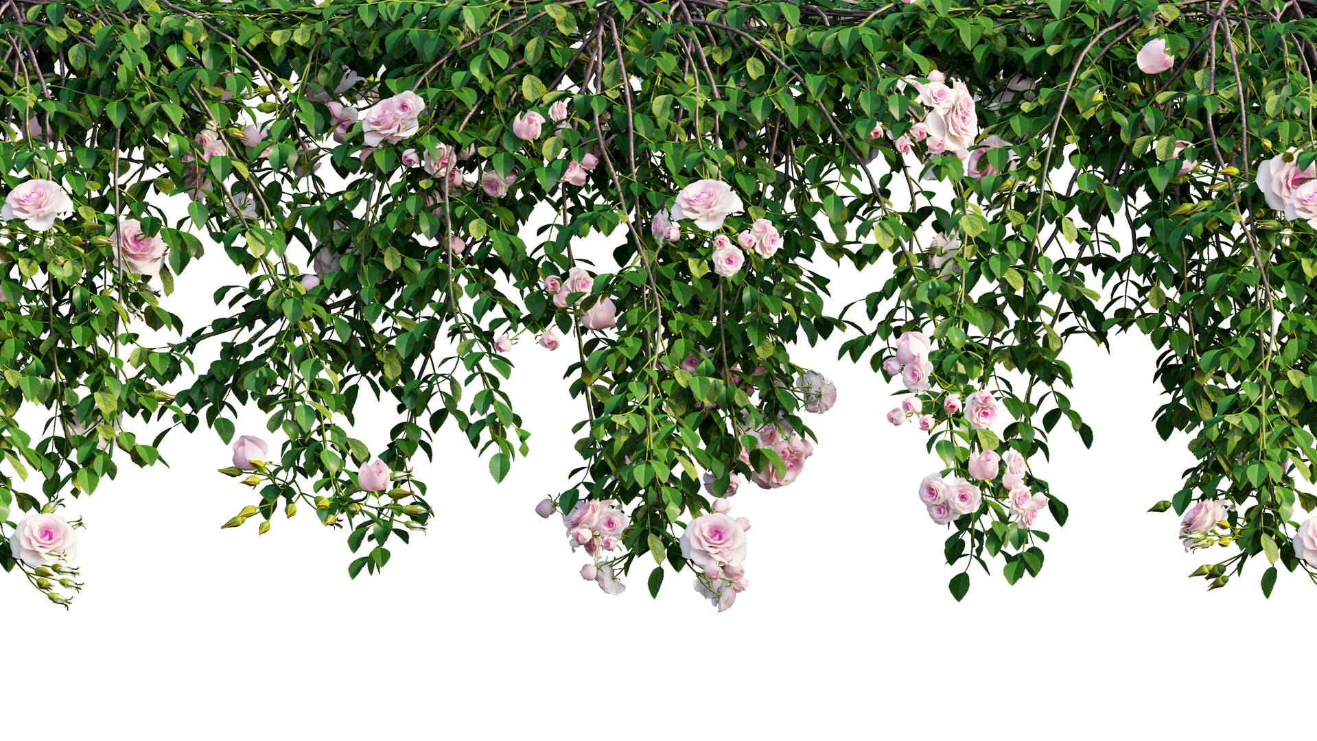 3D rose plant set 29 model https://p.turbosquid.com/ts-thumb/ix/LkgekO/U6HDLQOu/7_interactivelightmix/png/1597139734/1920x1080/fit_q87/b0550c8bcb41a68b8ee9a1a39a54836a68da9606/7_interactivelightmix.jpg