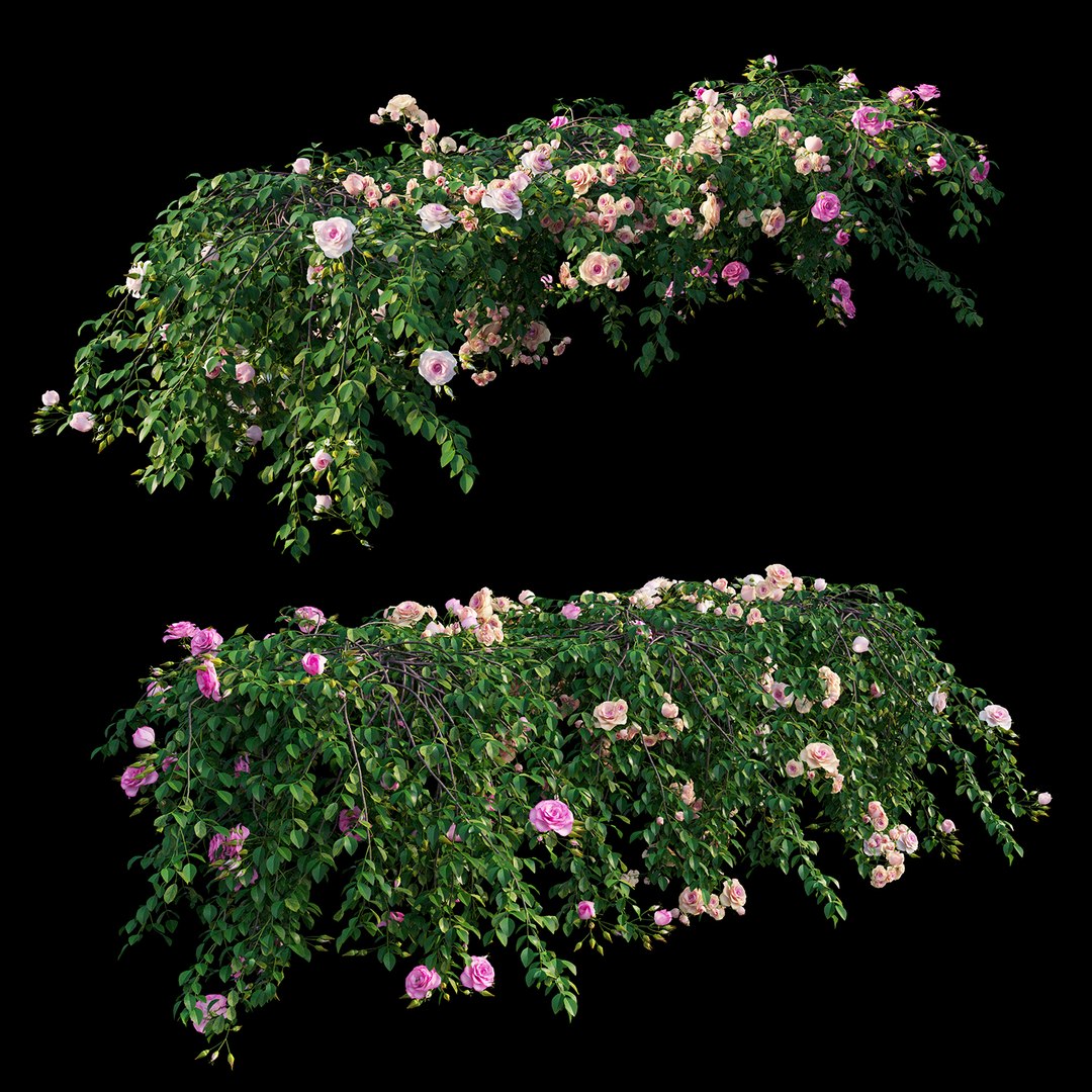 3D rose plant set 29 model https://p.turbosquid.com/ts-thumb/ix/LkgekO/Vh0AT9y5/view03/jpg/1597139646/1920x1080/fit_q87/77578bd97546a9685f7ead41aade34cb837f90ce/view03.jpg