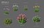 XfrogPlants HDPlants 1