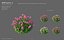 XfrogPlants HDPlants 1