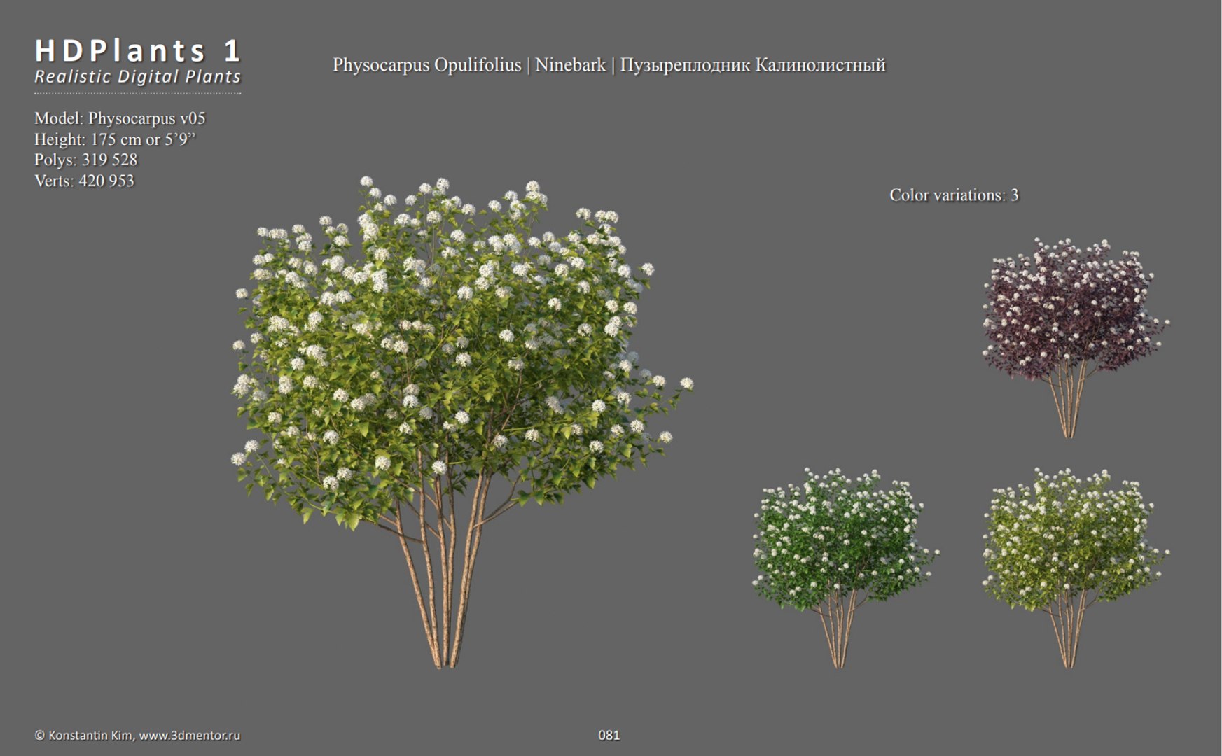 XfrogPlants HDPlants 1 3D https://p.turbosquid.com/ts-thumb/ix/S1vTVM/rL/hd15/png/1619197743/1920x1080/fit_q87/5029e1b63d380dfc487a9e92f5fdf54b25a7df50/hd15.jpg