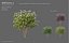 XfrogPlants HDPlants 1