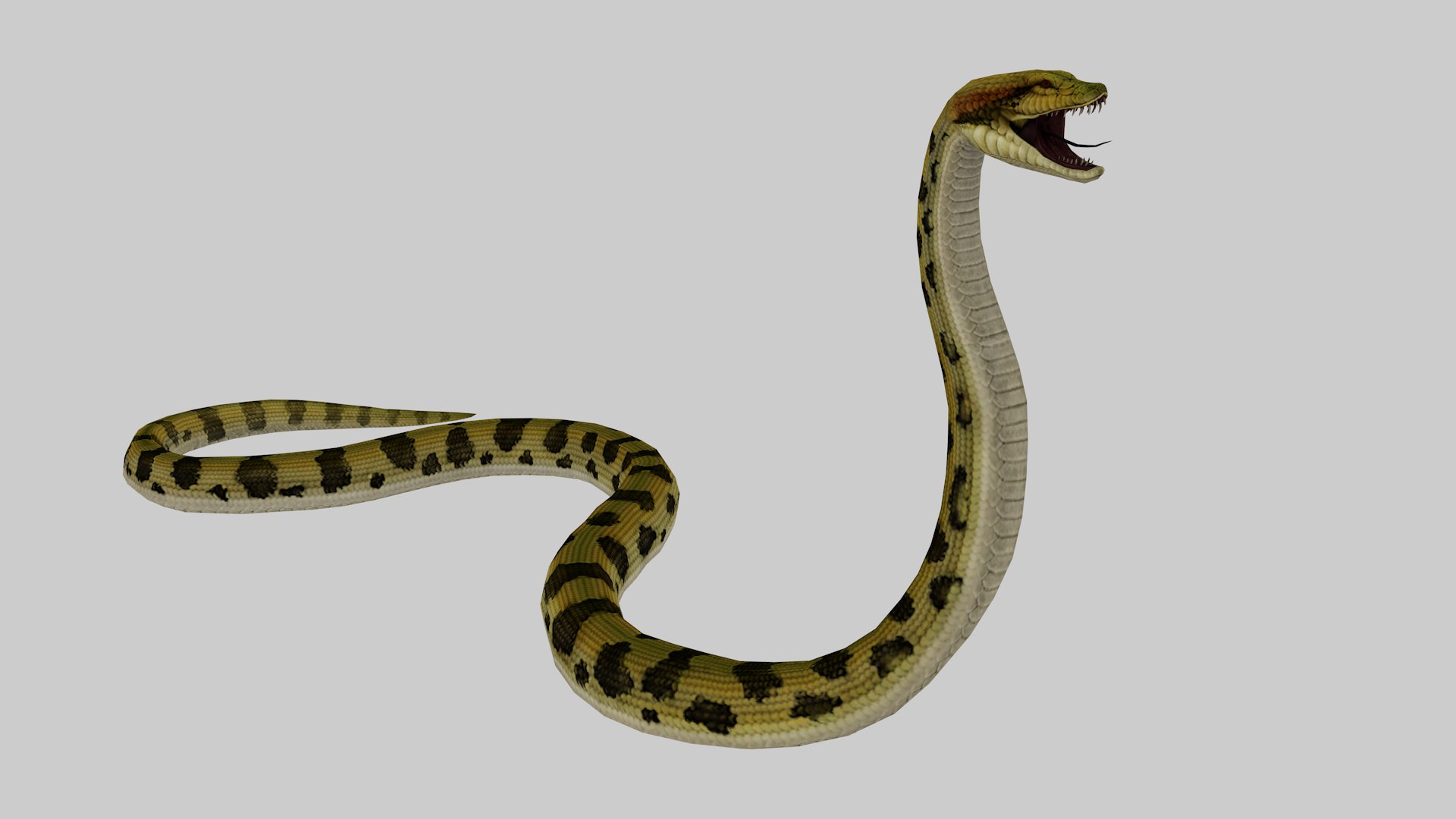 Realistic Snake 3D Model High Detail Rigged And Textured 3D Model ...