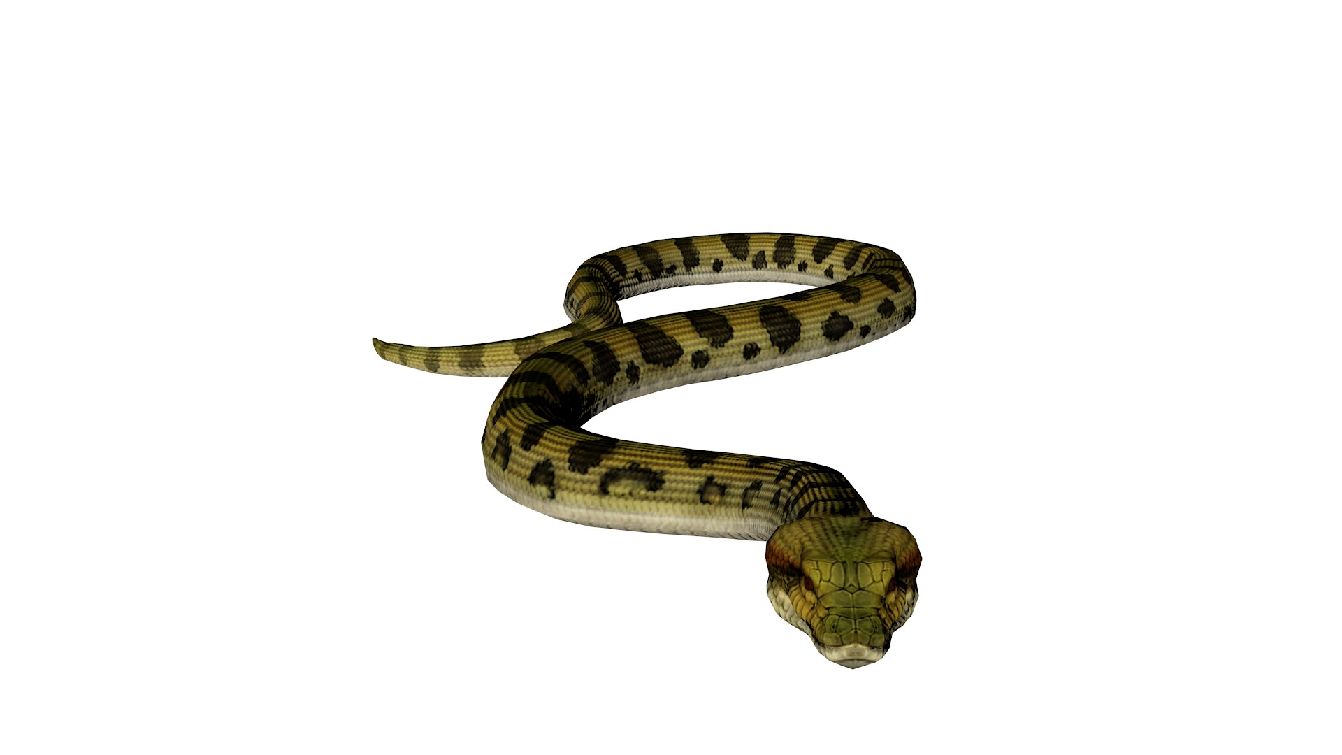 Realistic Snake 3D Model High Detail Rigged And Textured 3D Model ...