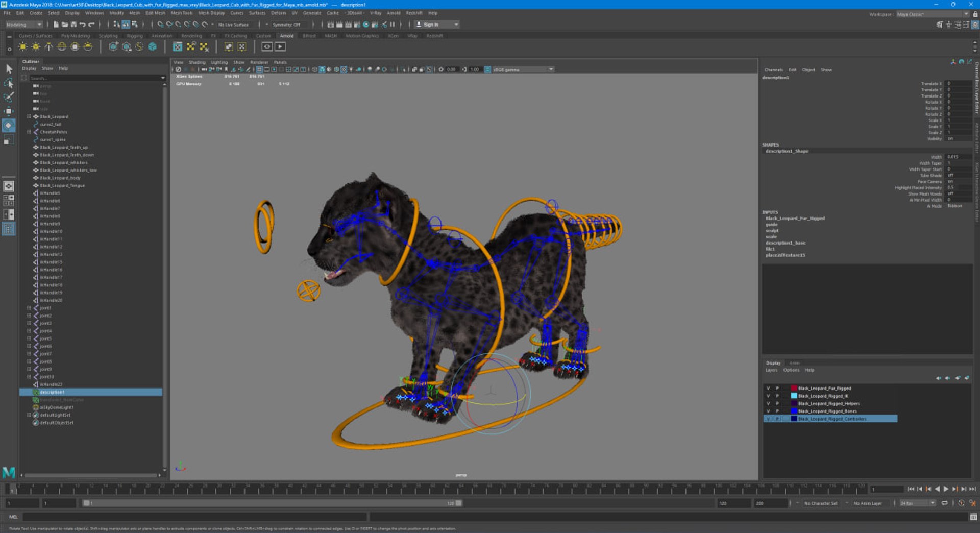 Black Leopard Cub With Fur For Maya Rigged Model - TurboSquid 2407476