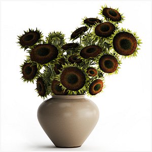 3D Bouquet green black young sunflower flowers vase decor 679 model