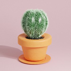 3D Realistic Small Cactus Succulent in Pot with Saucer model