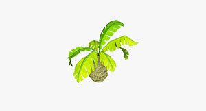toon palm 3d model