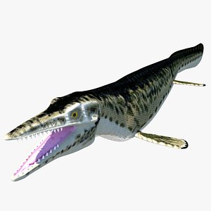 mosasaurs reptiles lizards 3D model