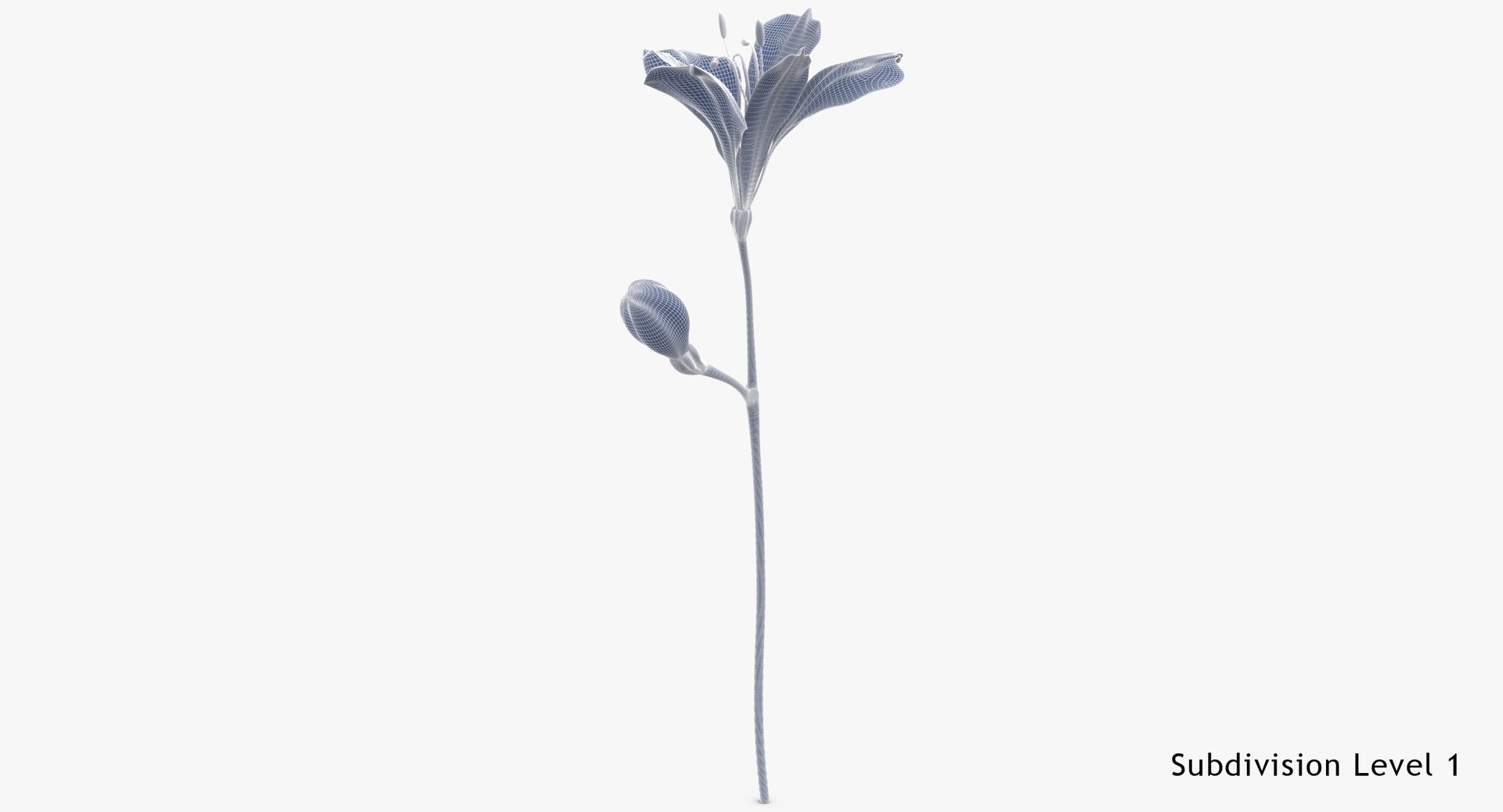 alstromeria pink - 3D https://p.turbosquid.com/ts-thumb/iy/H5ODTY/991LE0ux/alstromeria_pink_wireframe_subdiv_1/jpg/1549301232/1920x1080/fit_q87/9eb6970923ea1f0977476a1754be34e10854b598/alstromeria_pink_wireframe_subdiv_1.jpg