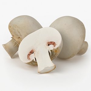 realistic champignon real 3d model