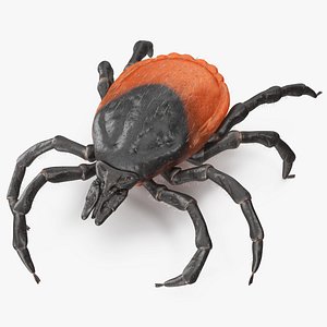 Tick Crawling Pose Fur 3D model