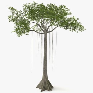 kapok tree polys 3D