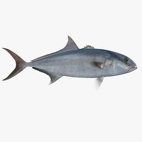 Amberjack