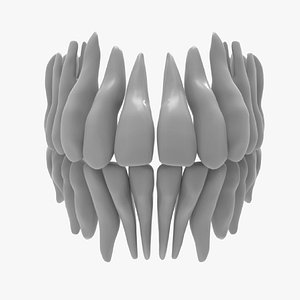 teeth