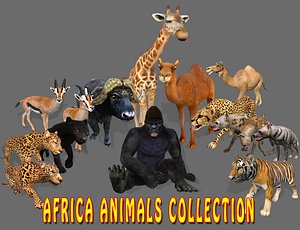 3D big africa animations - model