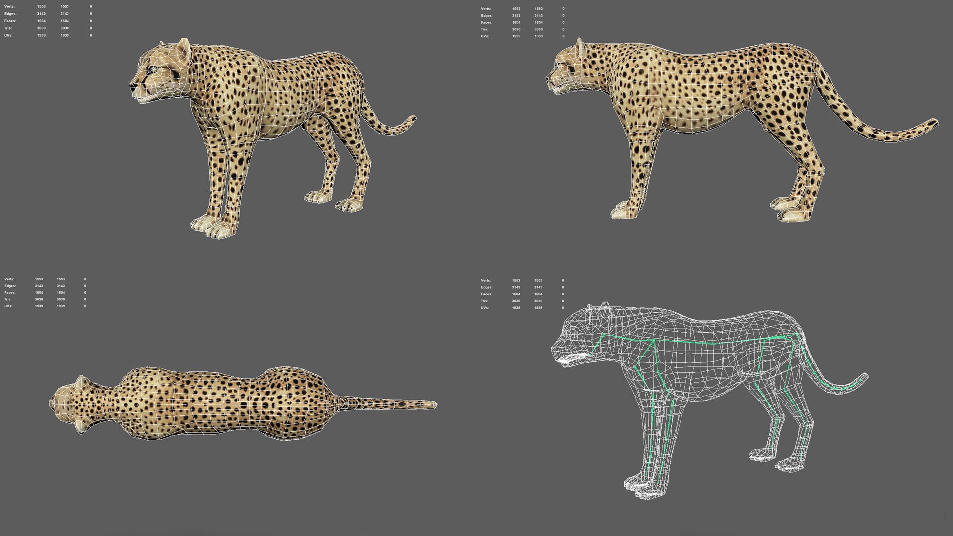 3D big africa animations - model - TurboSquid 1301111