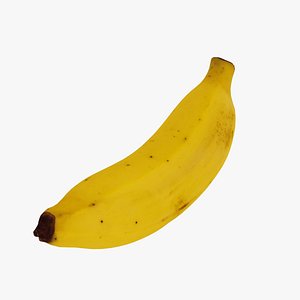Banana Musaceae - Real-Time 3D Scanned 3D model