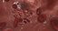Blood Flow animation 3D model