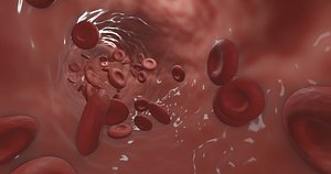 Blood Flow animation