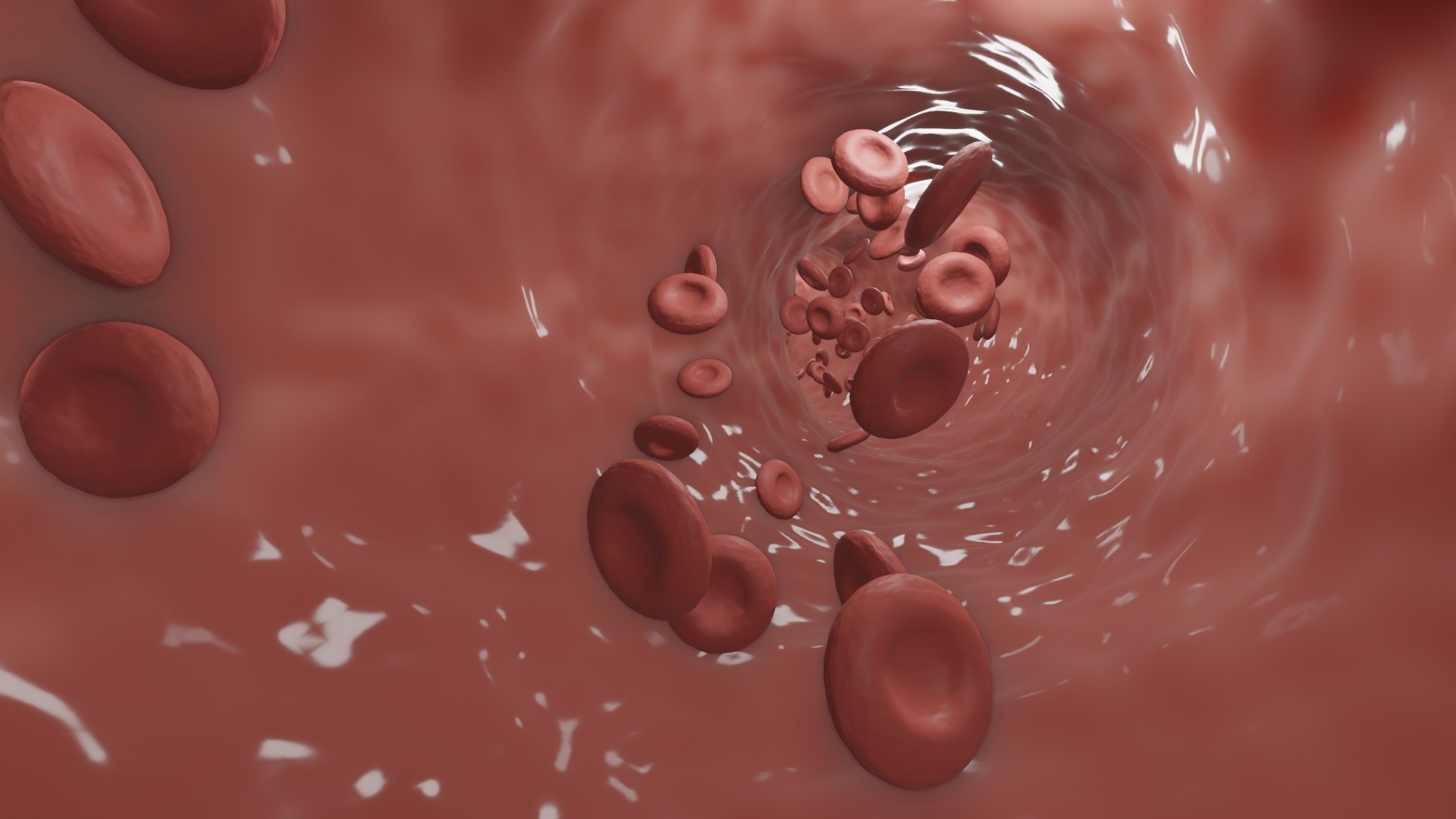 Blood Flow animation 3D model - TurboSquid 2026906