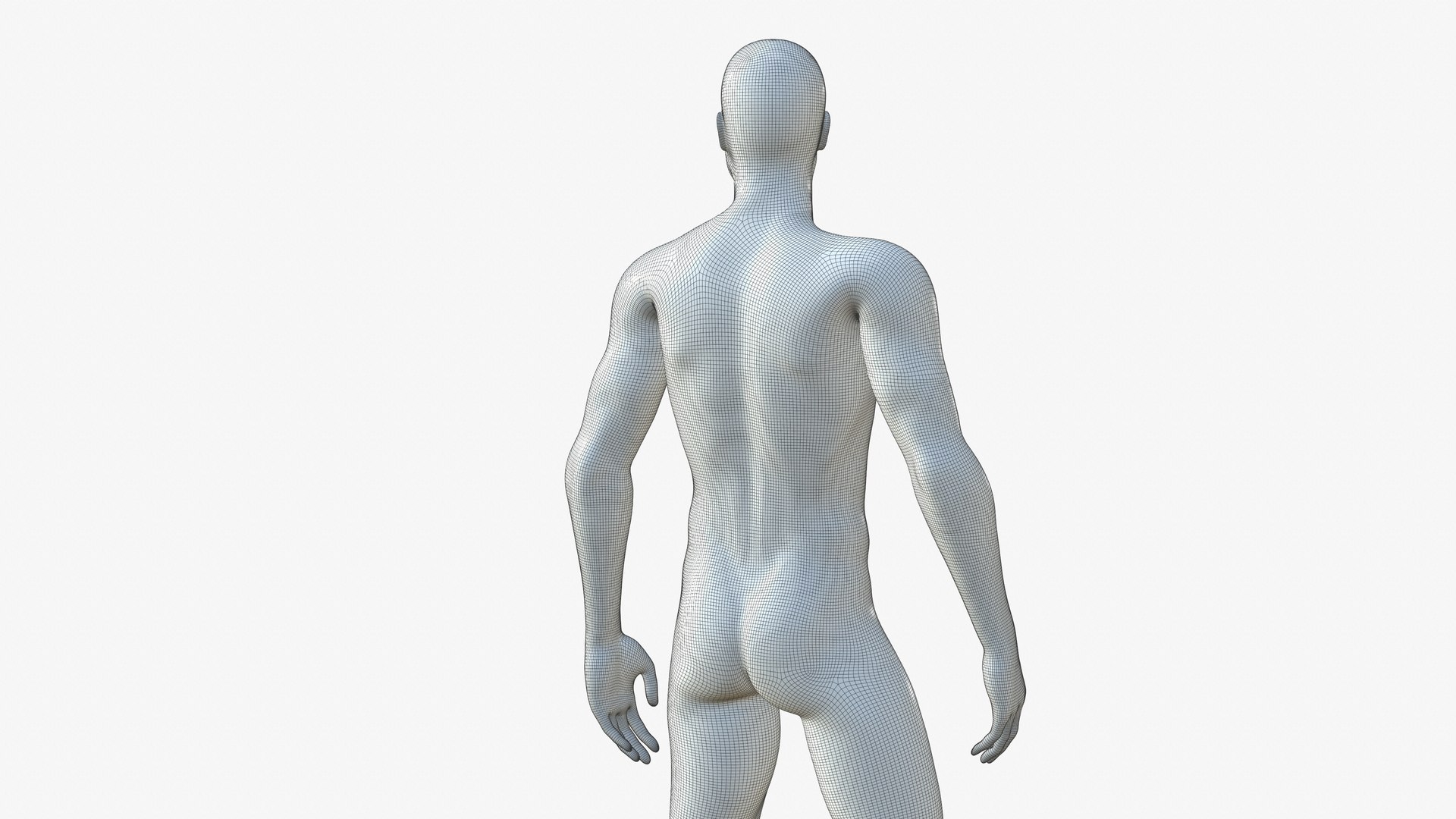 Back Male Mannequin Full Body 3D https://p.turbosquid.com/ts-thumb/iz/WXptR8/QX/23/jpg/1649105702/1920x1080/fit_q87/05556120f13dad3fbfe77fbf458862211ebed8f0/23.jpg
