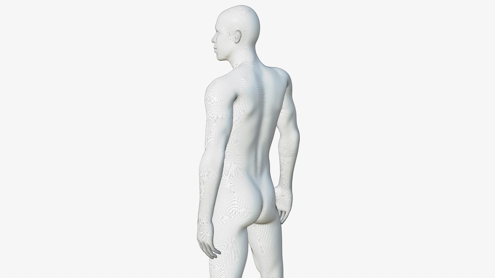Back Male Mannequin Full Body 3D https://p.turbosquid.com/ts-thumb/iz/WXptR8/fU/25/jpg/1649105702/1920x1080/fit_q87/dda33d7ebb3651c1dd40af13cd4d636625b0688d/25.jpg