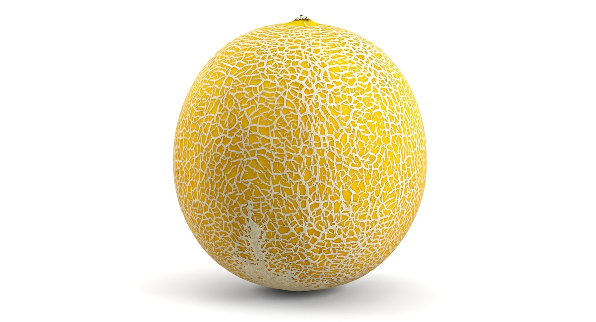 cantaloupe 3d max