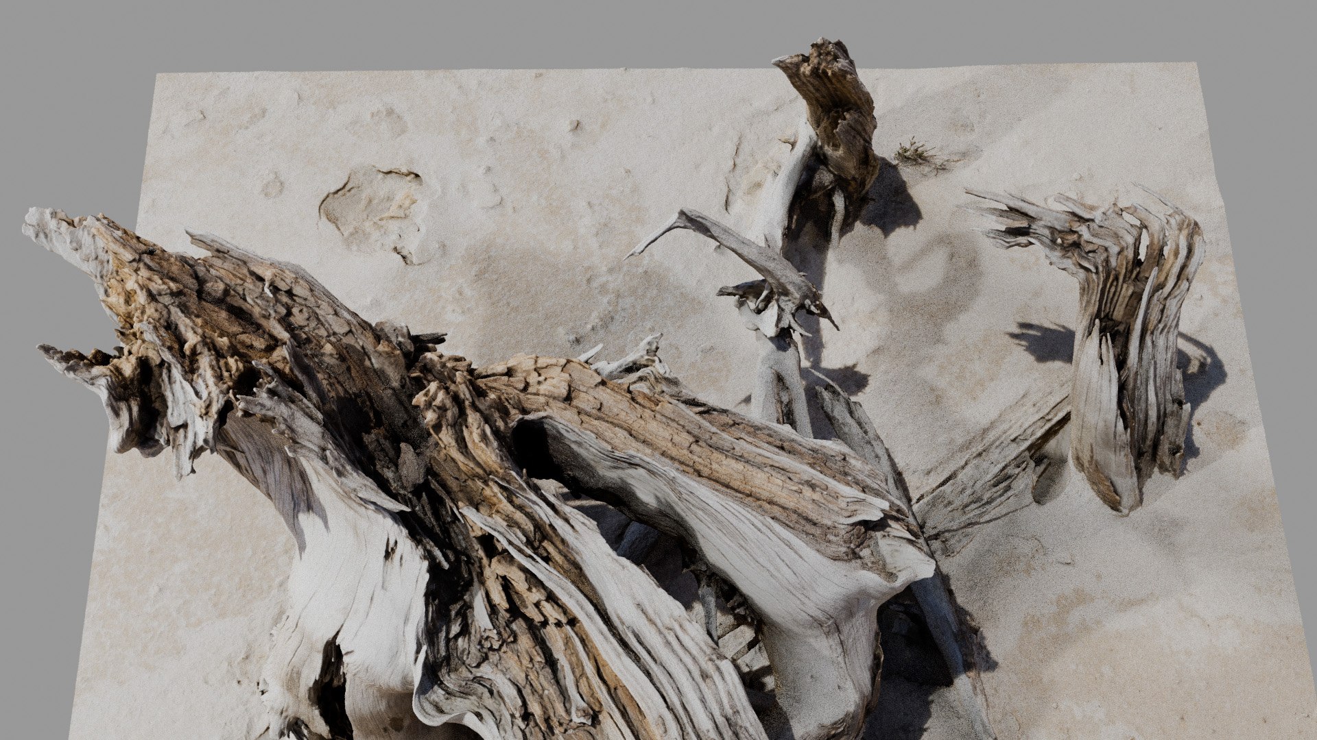Dead Tree 005 3D model https://p.turbosquid.com/ts-thumb/iz/d7GqTl/0N/deadtree_05_diffuse_08/jpg/1734288363/1920x1080/fit_q87/524912501031f1947f0fb60a8729303b7864f51f/deadtree_05_diffuse_08.jpg