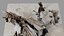 Dead Tree 005