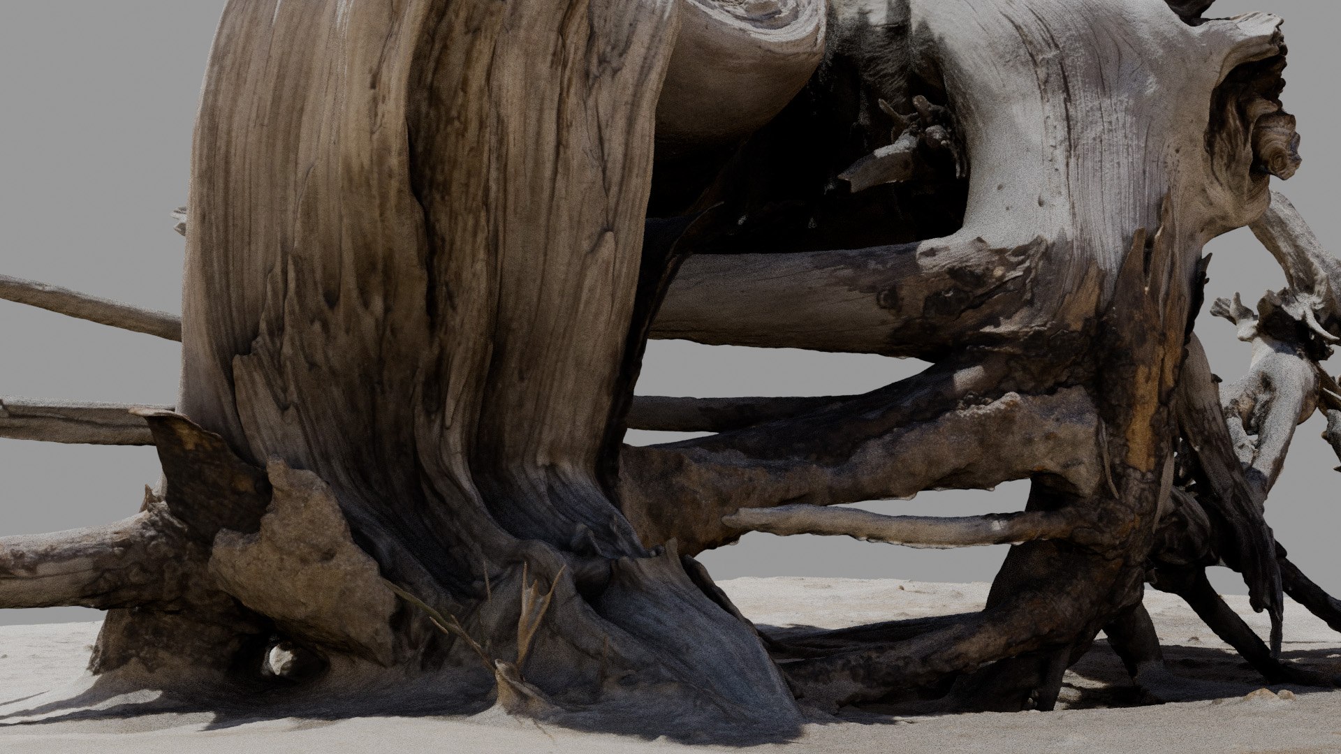 Dead Tree 005 3D model https://p.turbosquid.com/ts-thumb/iz/d7GqTl/6c/deadtree_05_diffuse_06/jpg/1734288362/1920x1080/fit_q87/0ad220930191c9328d8e798c02b3ebc6792a76db/deadtree_05_diffuse_06.jpg
