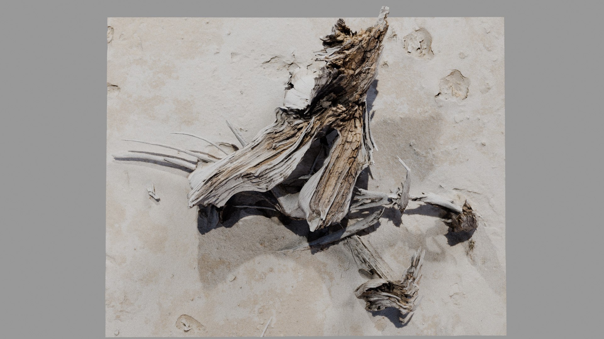 Dead Tree 005 3D model https://p.turbosquid.com/ts-thumb/iz/d7GqTl/8d/deadtree_05_diffuse_04/jpg/1734288361/1920x1080/fit_q87/a2e6f72bca85d5b4ddb2c1ce41ad7a6a3df4dd5b/deadtree_05_diffuse_04.jpg