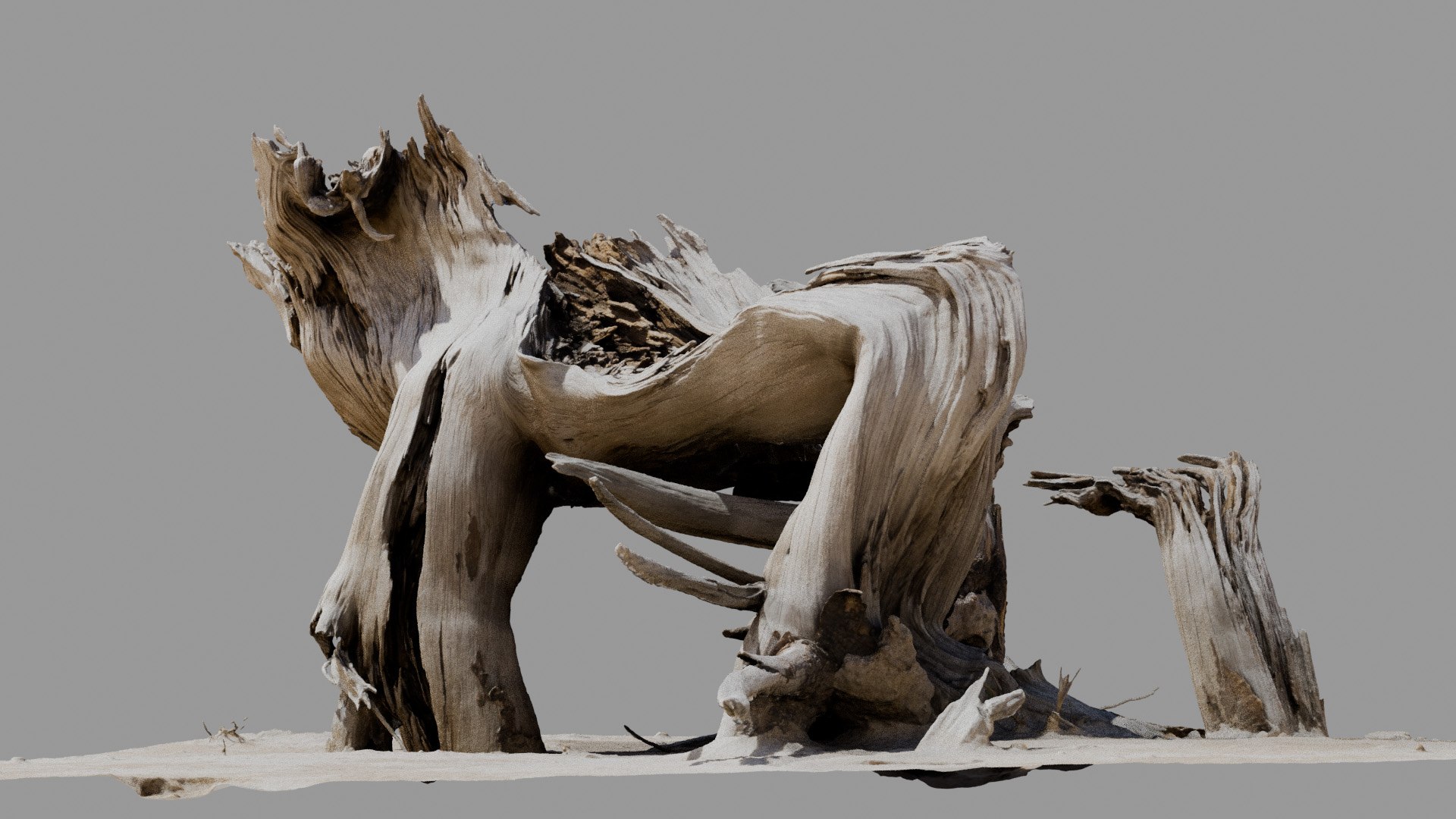 Dead Tree 005 3D model https://p.turbosquid.com/ts-thumb/iz/d7GqTl/D0/deadtree_05_diffuse_01/jpg/1734288360/1920x1080/fit_q87/1932c509bd861e3db0c35ea6673ad59cfe7f84bd/deadtree_05_diffuse_01.jpg