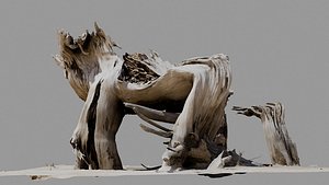 Dead Tree 005