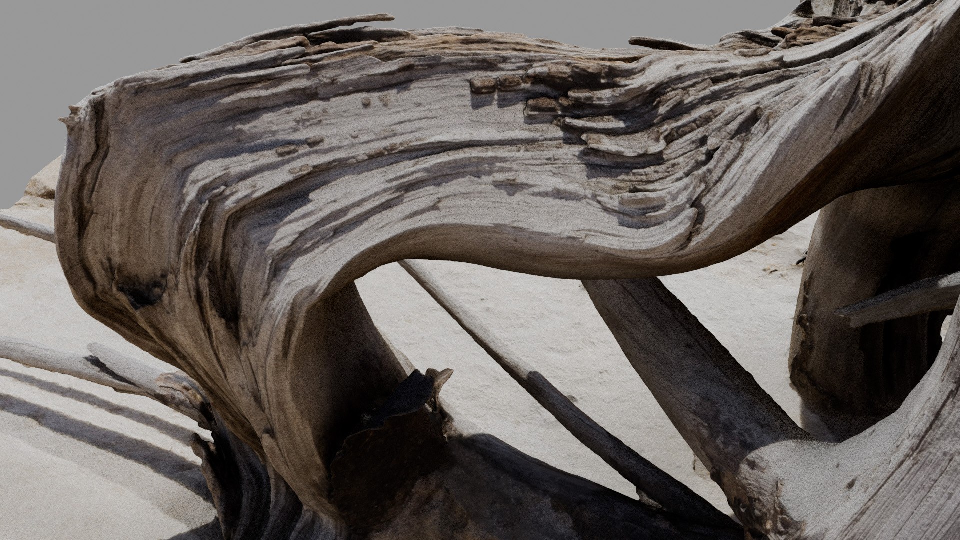 Dead Tree 005 3D model https://p.turbosquid.com/ts-thumb/iz/d7GqTl/Ix/deadtree_05_diffuse_07/jpg/1734288363/1920x1080/fit_q87/7842acf83d1db36261fb4b5947195015deca9989/deadtree_05_diffuse_07.jpg