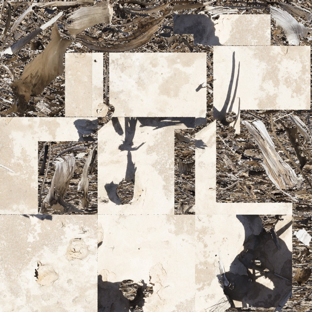 Dead Tree 005 3D model https://p.turbosquid.com/ts-thumb/iz/d7GqTl/KR/deadtree_05_uv_map/jpg/1734288479/1920x1080/fit_q87/12ff542643a6604bcfae62bf855f713986ad3e6b/deadtree_05_uv_map.jpg